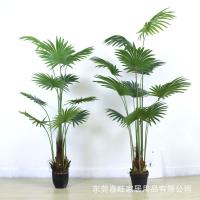 uploads/erp/collection/images/Home Garden/dgjiawang/XU0612969/img_b/XU0612969_img_b_2